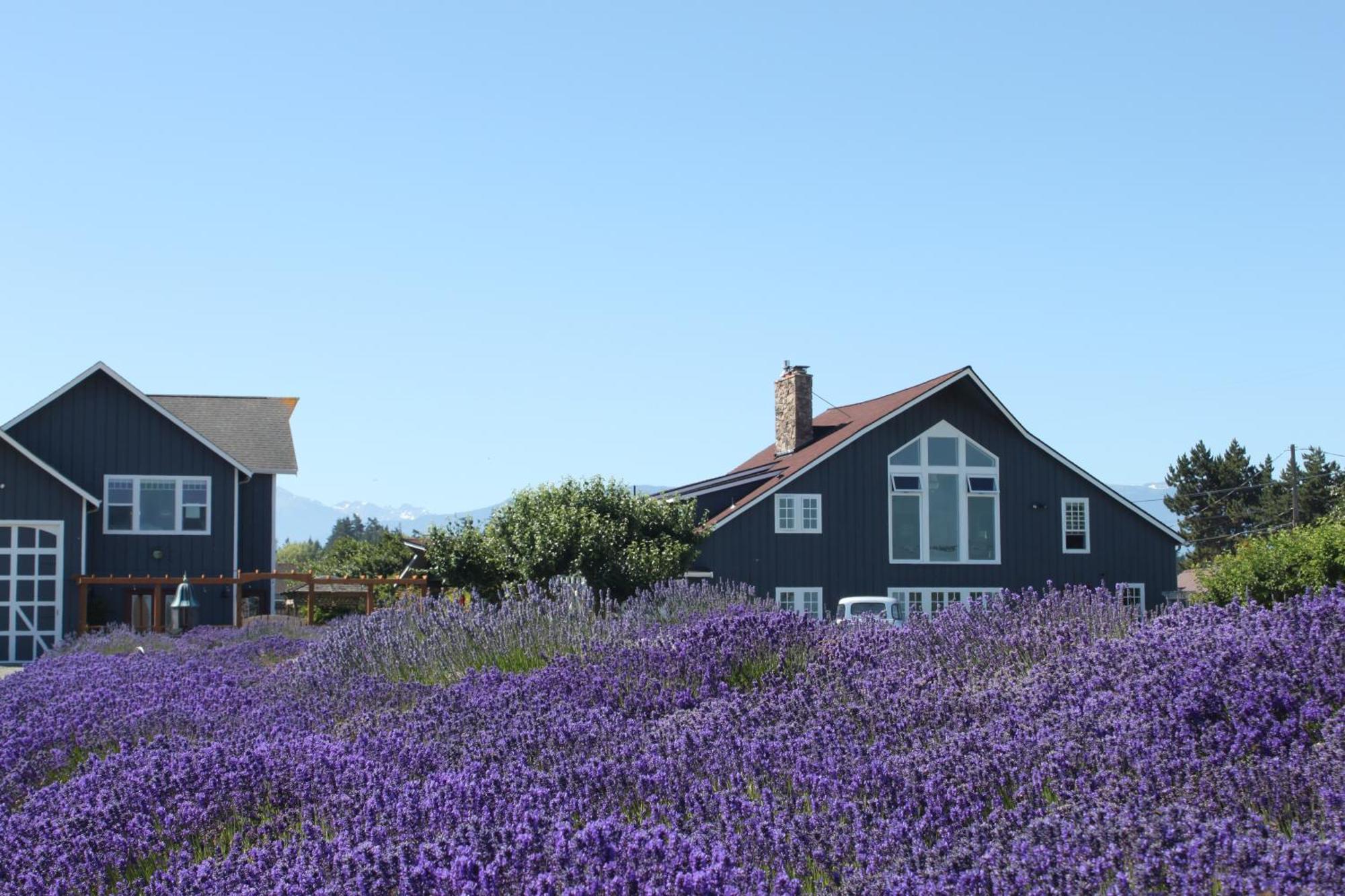 Dungeness Barn House Bed And Breakfast At Two Crows Farm Sequim Exteriér fotografie